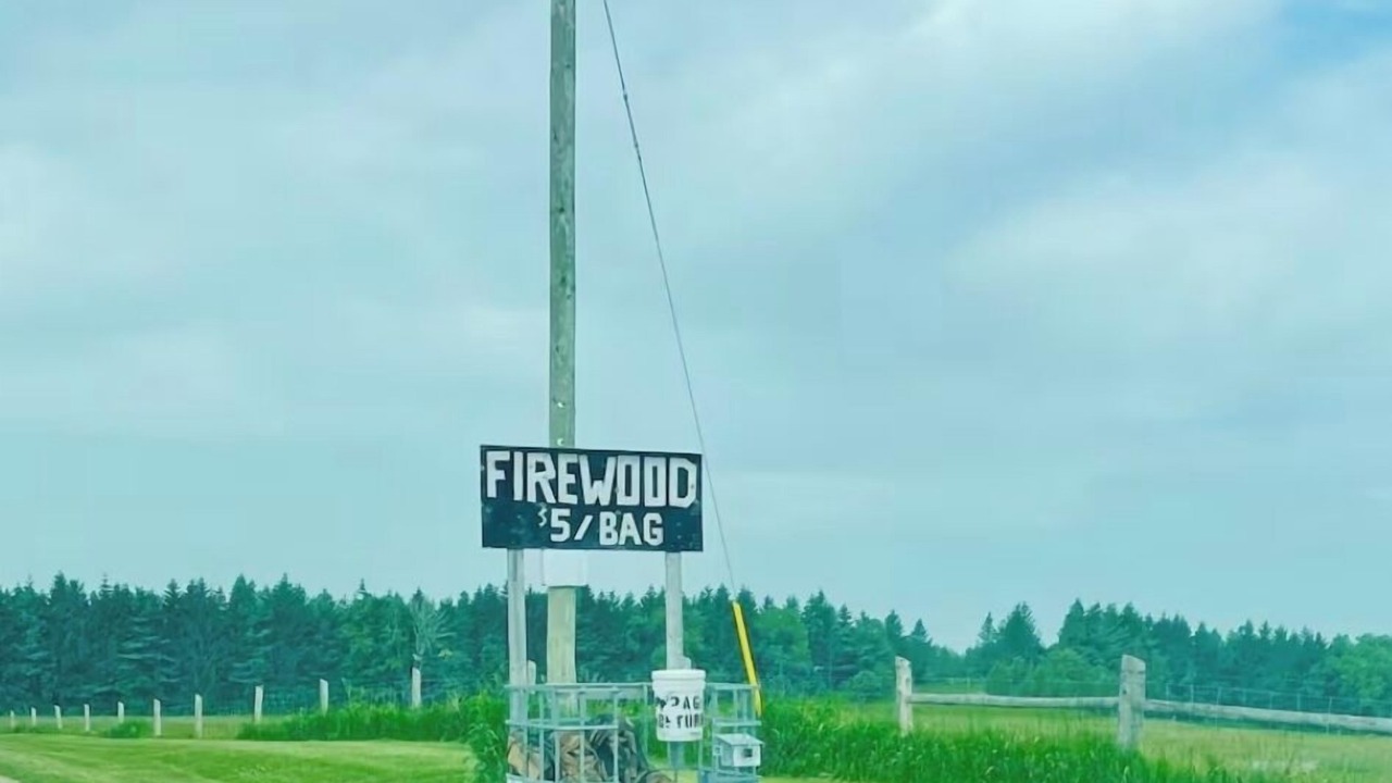 Photo of Others in Belwood