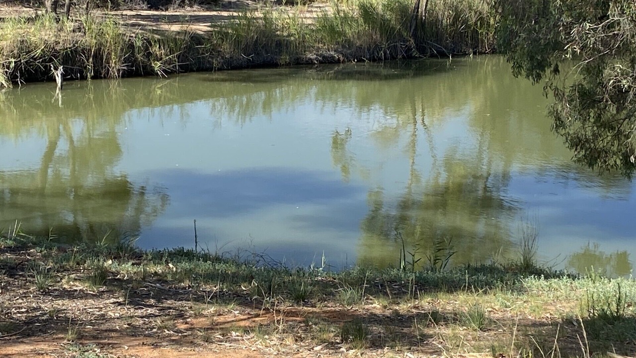 Photo of Others in Renmark