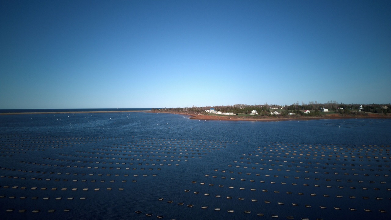 Photo of Others in North Rustico