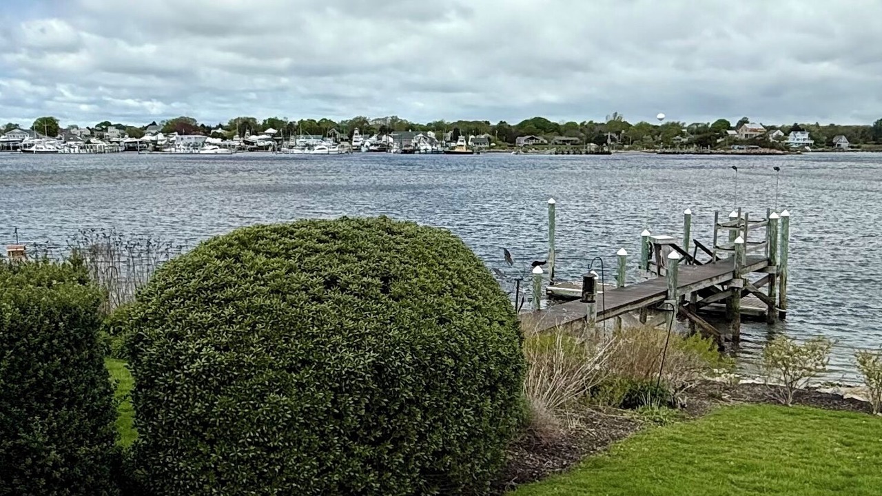 Photo of Others in Snug Harbor