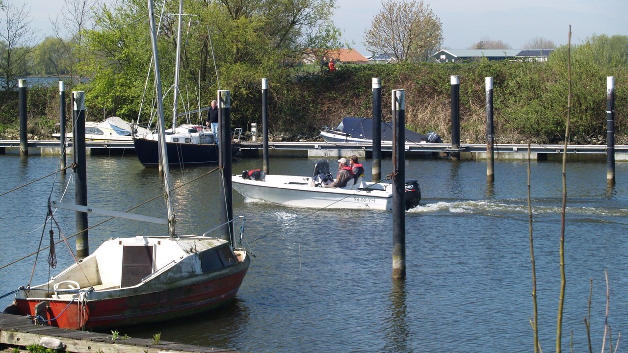 Photo of Outdoor in Dordtse Biesbosch