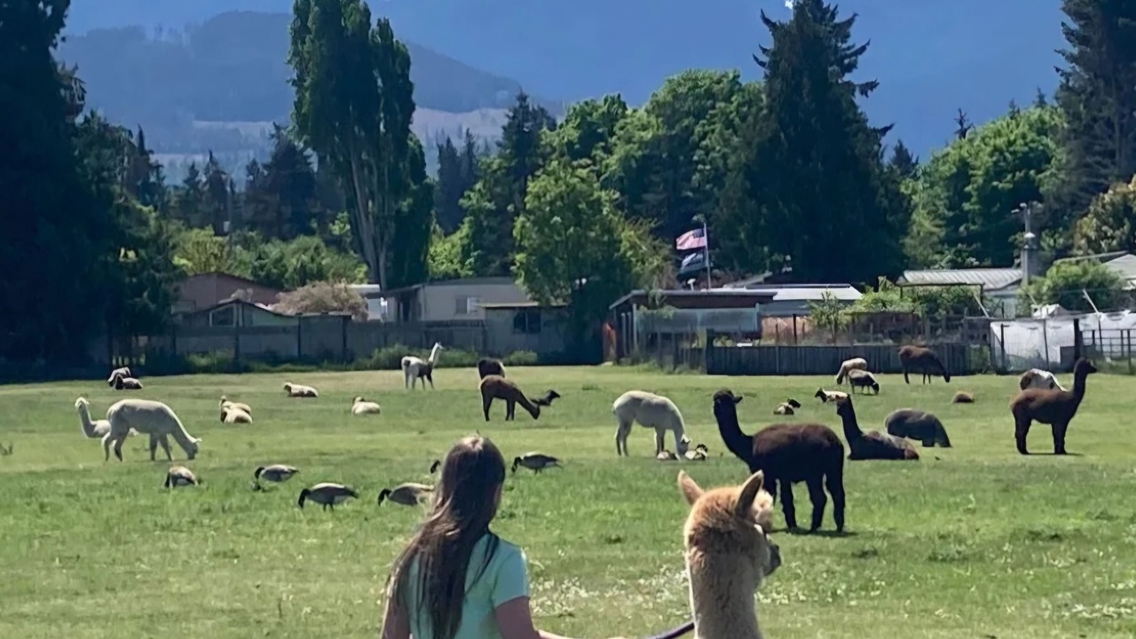 Photo of Others in Port Angeles East
