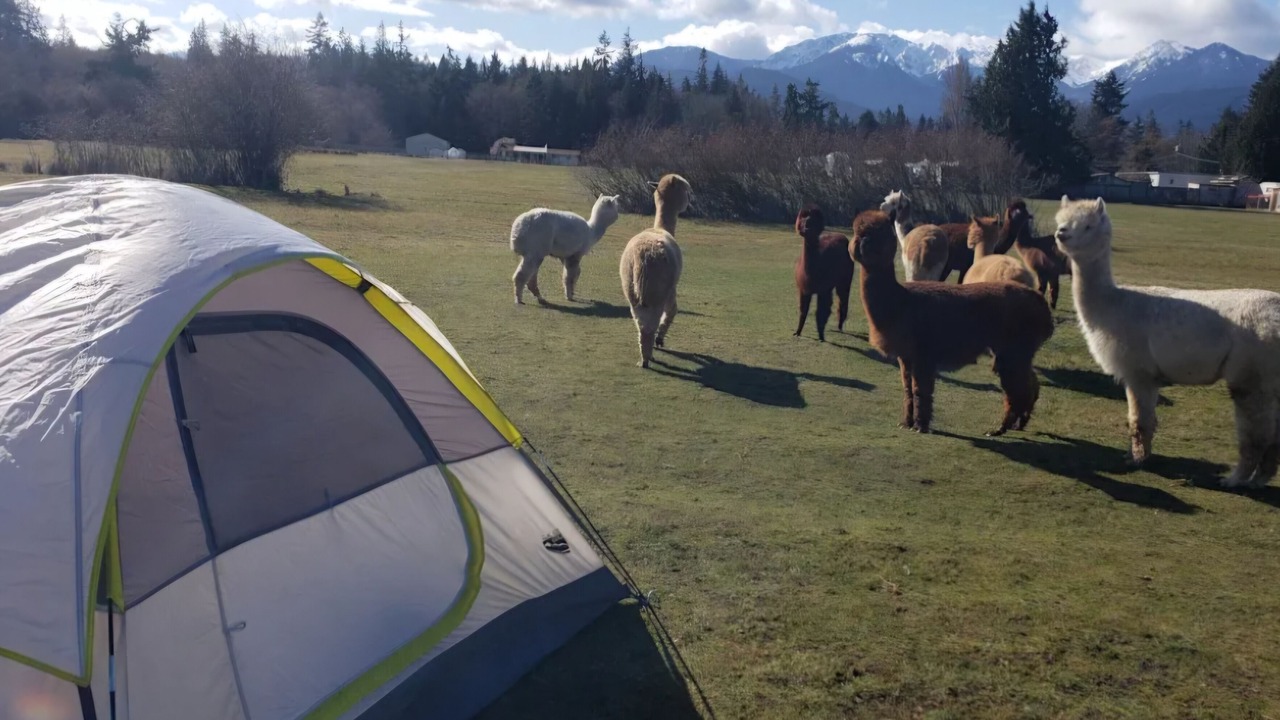 Photo of Others in Port Angeles East