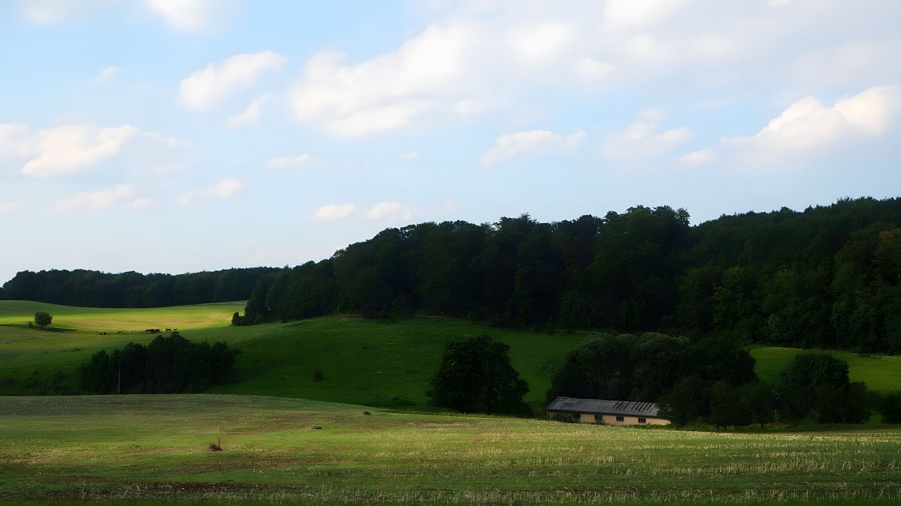 Photo of Others in Wilhelmsthal