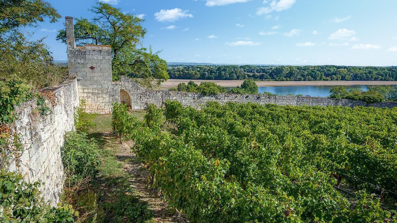 Photo of Others in Montliard