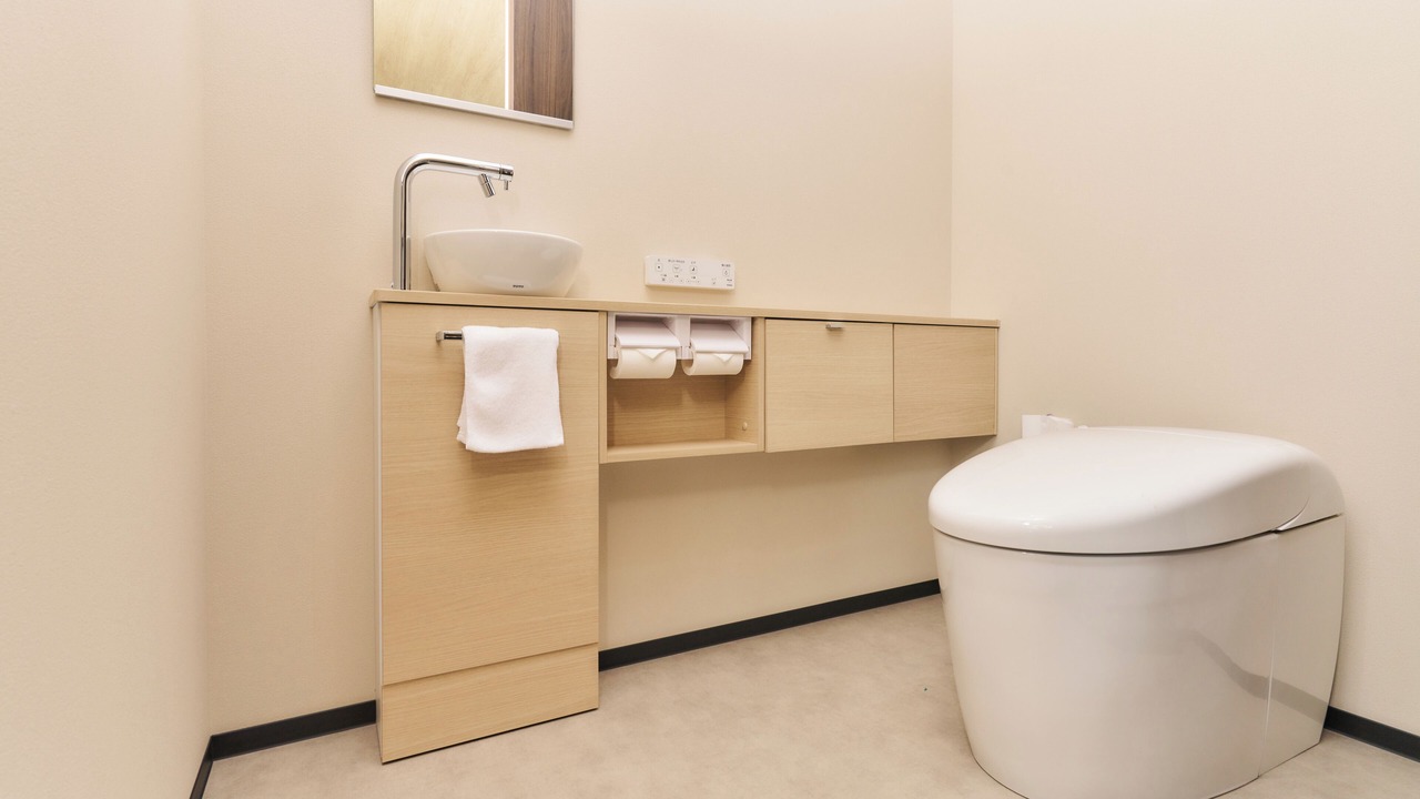 Photo of Bathroom in Yamanakako