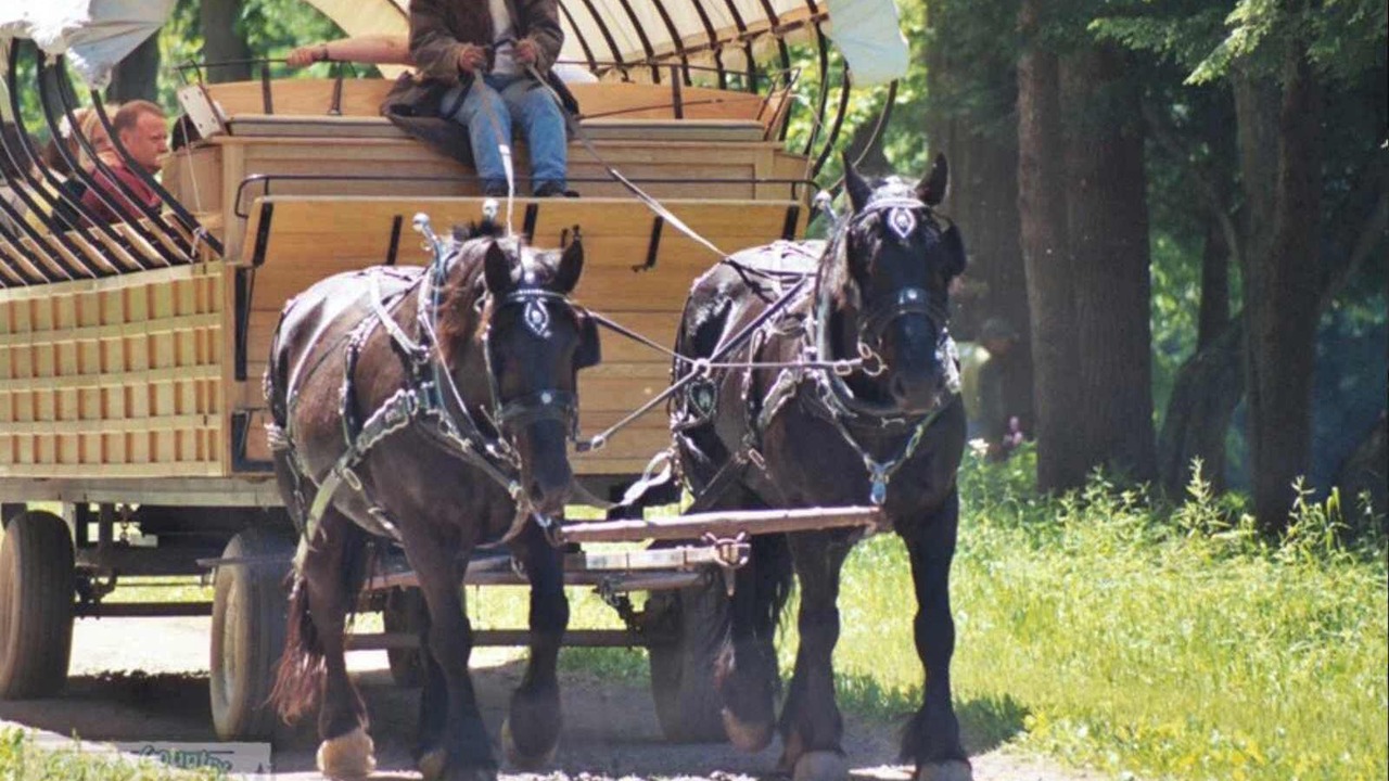 Photo of Others in Wellsboro