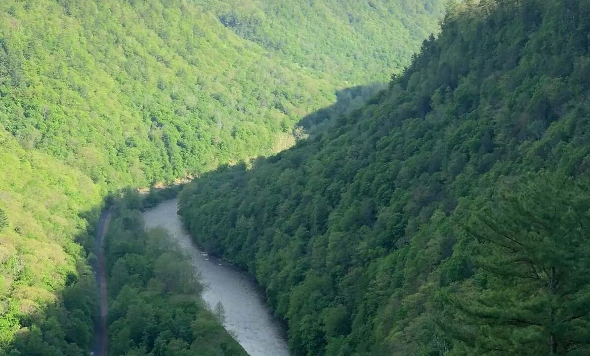 Photo of Others in Wellsboro