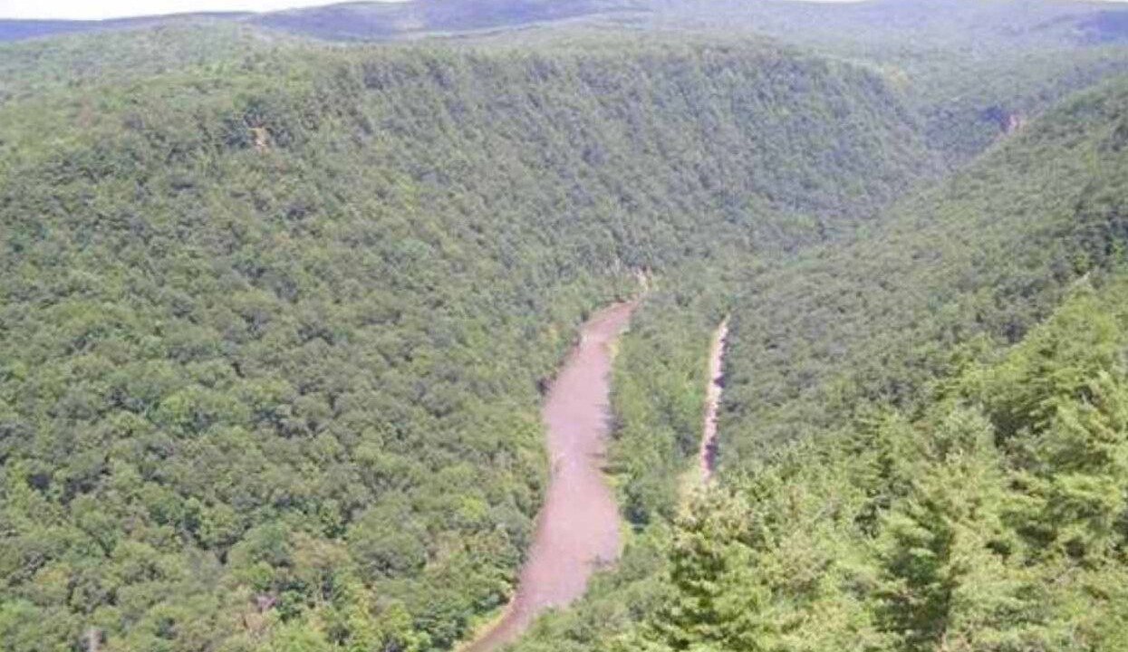 Photo of Others in Wellsboro
