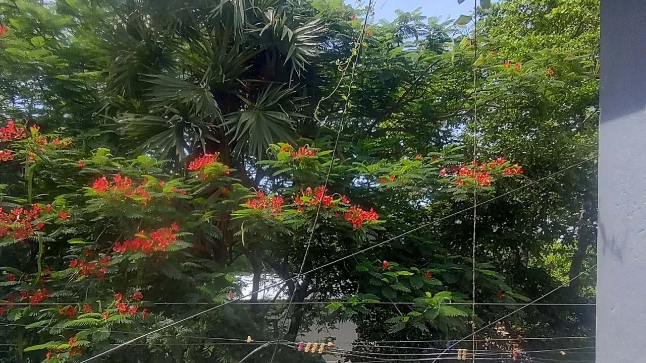 Photo of Patio Balcony in Tiruvannamalai