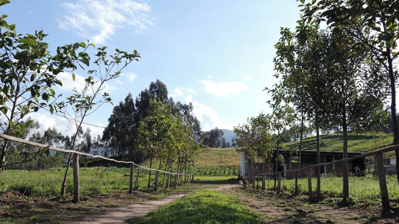 Photo of Outdoor in Angochagua
