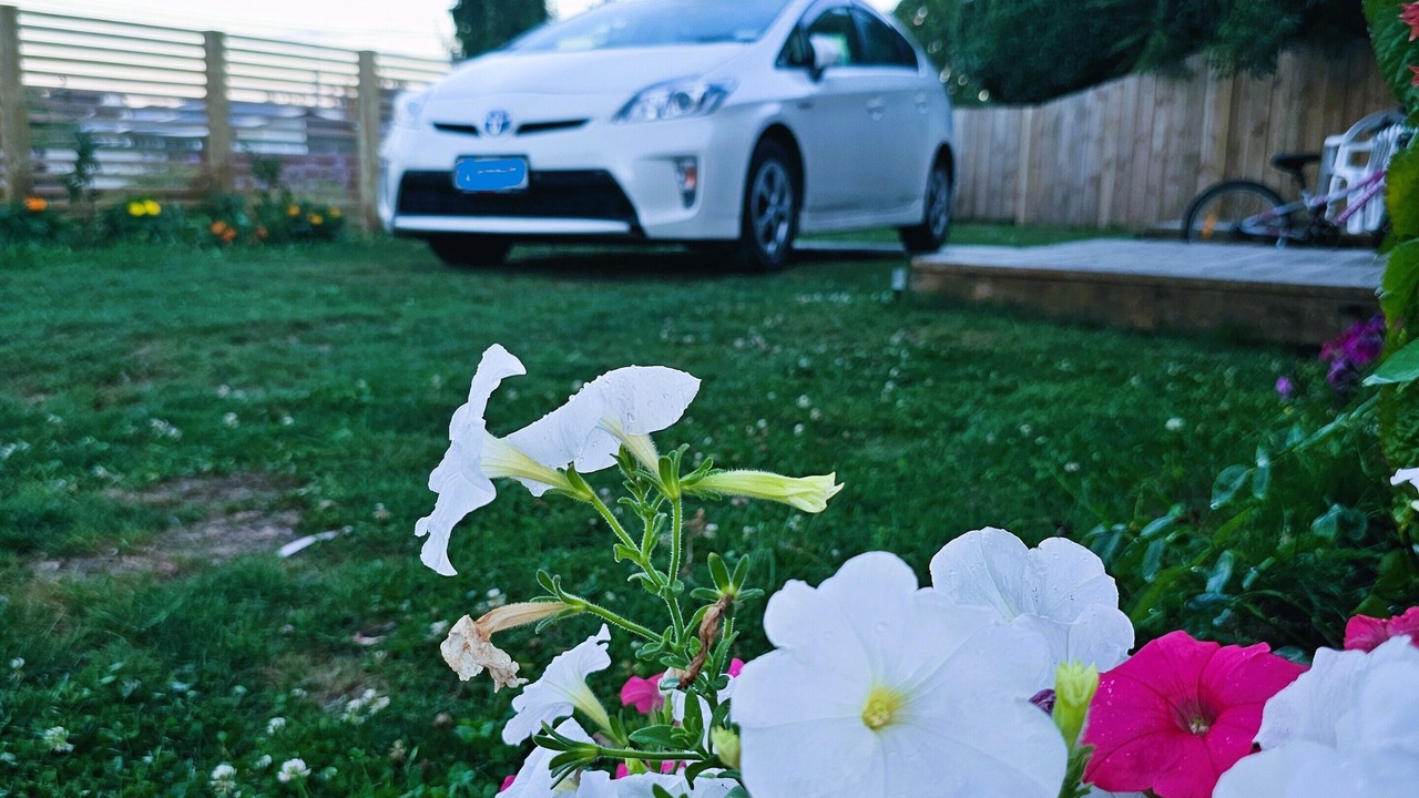 Photo of Outdoor in Hamilton