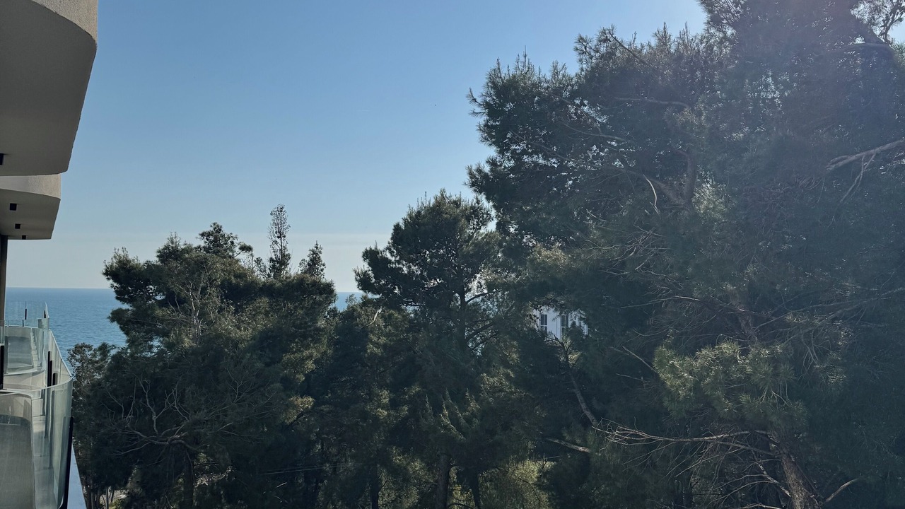 Photo of Others in Sakës