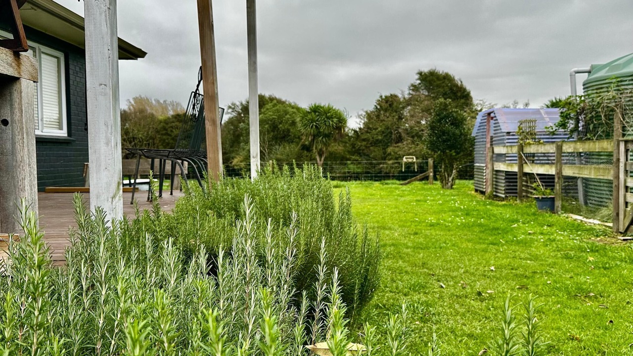 Photo of Outdoor in Te Poi