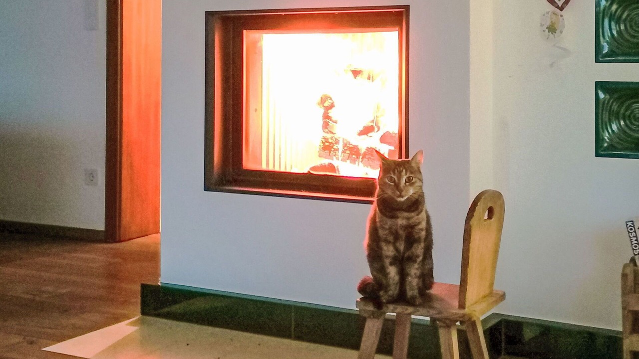 Photo of Livingroom in Techelsberg am Worther See