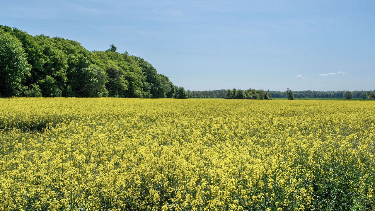 Photo of Others in Hessenburg