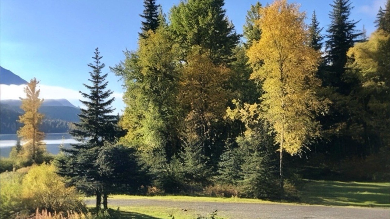 Photo of Others in Moose Pass