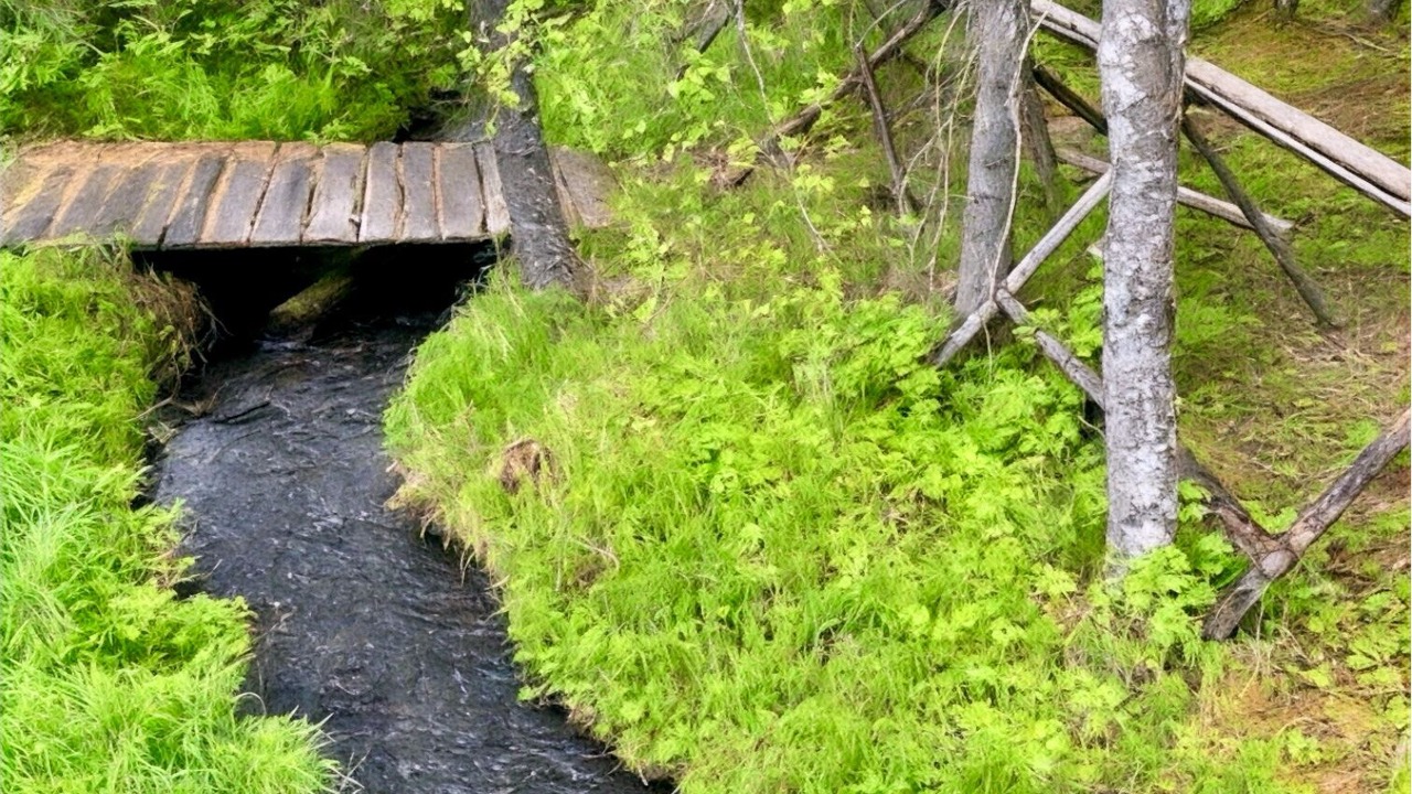 Photo of Others in Moose Pass