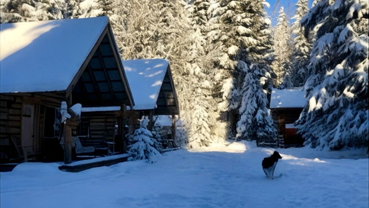Photo of Outdoor in Moose Pass