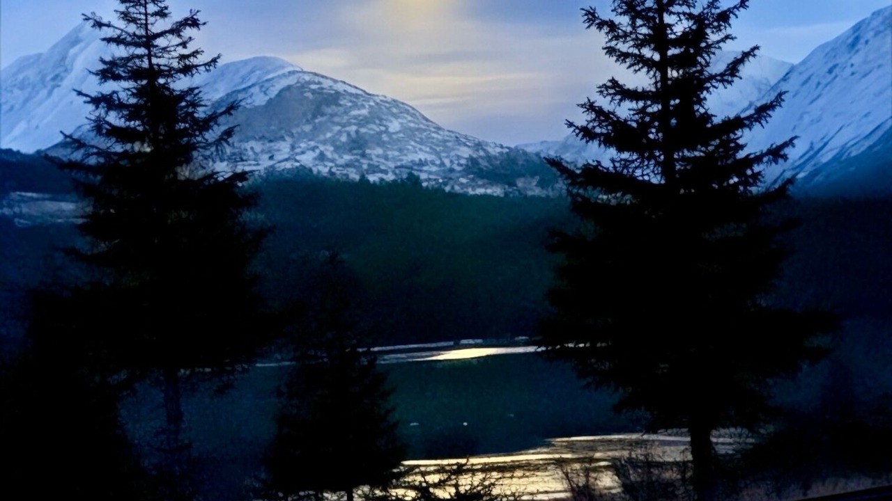 Photo of Others in Moose Pass