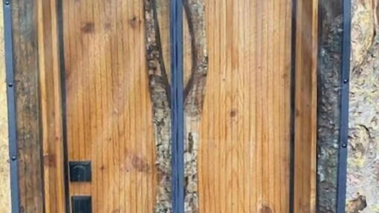 Photo of Outdoor in Moose Pass