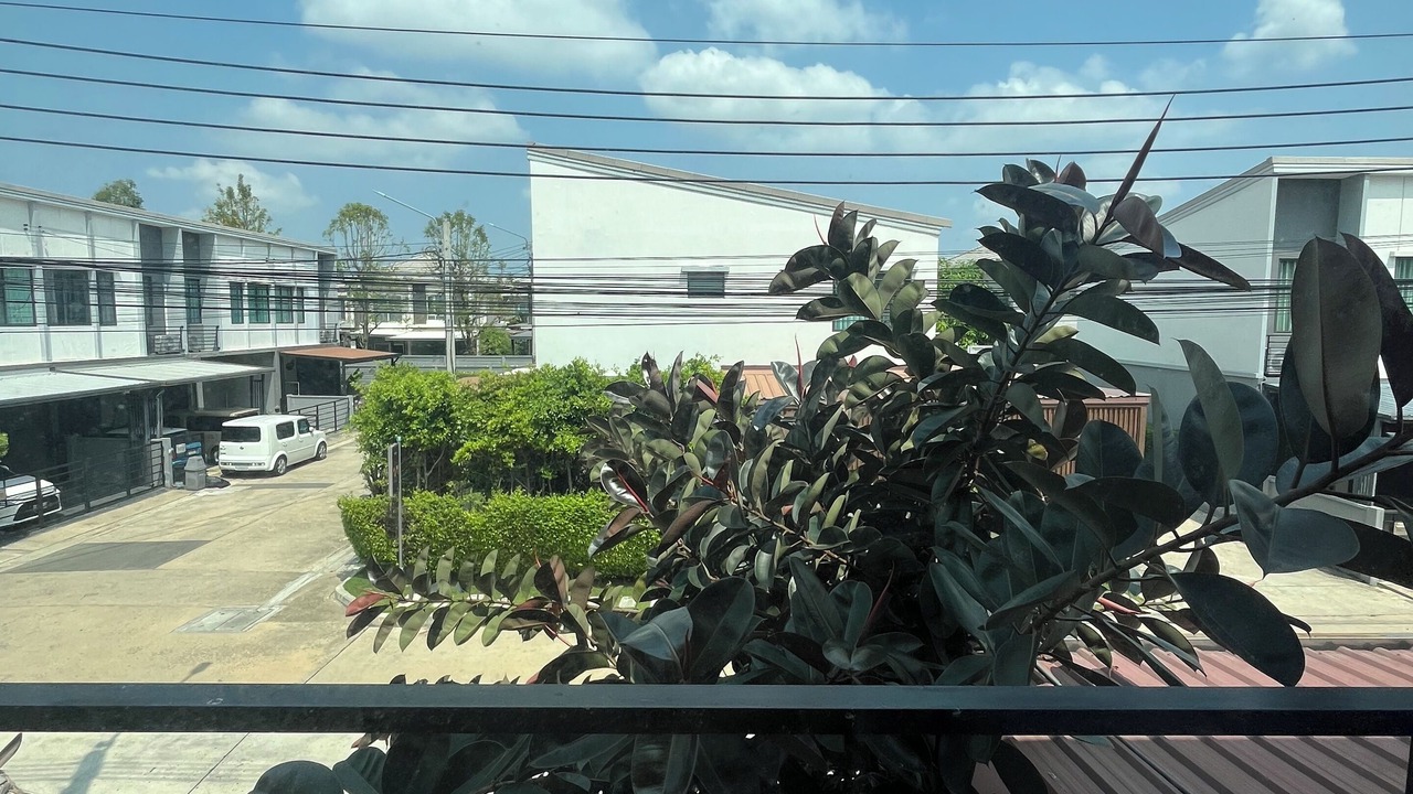 Photo of Outdoor in Pak Kret