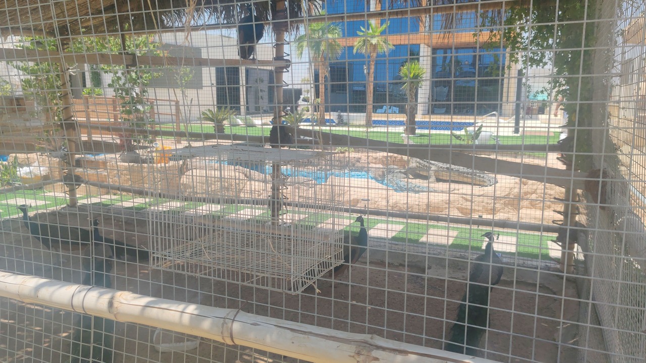 Photo of Outdoor in Manama