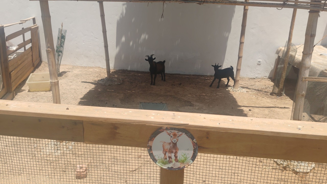 Photo of Outdoor in Manama