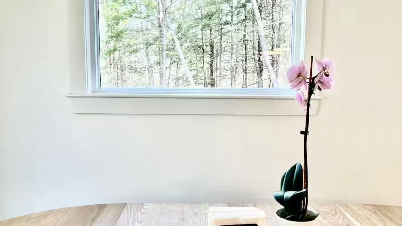 Photo of Others in Rindge