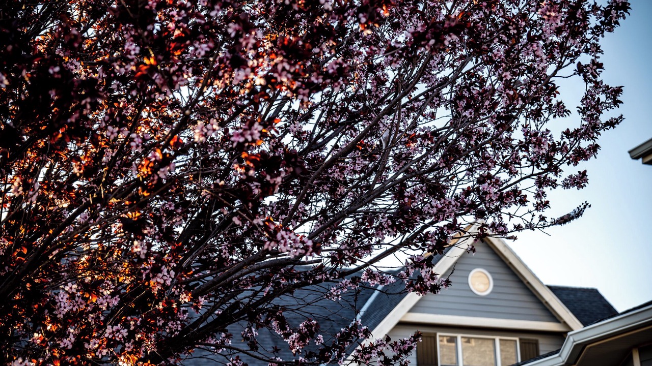 Photo of Outdoor in Elgin