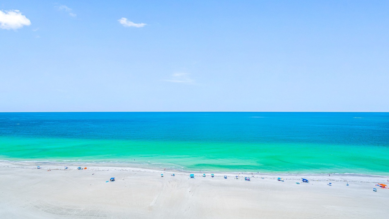 Photo of Others in Sand Key