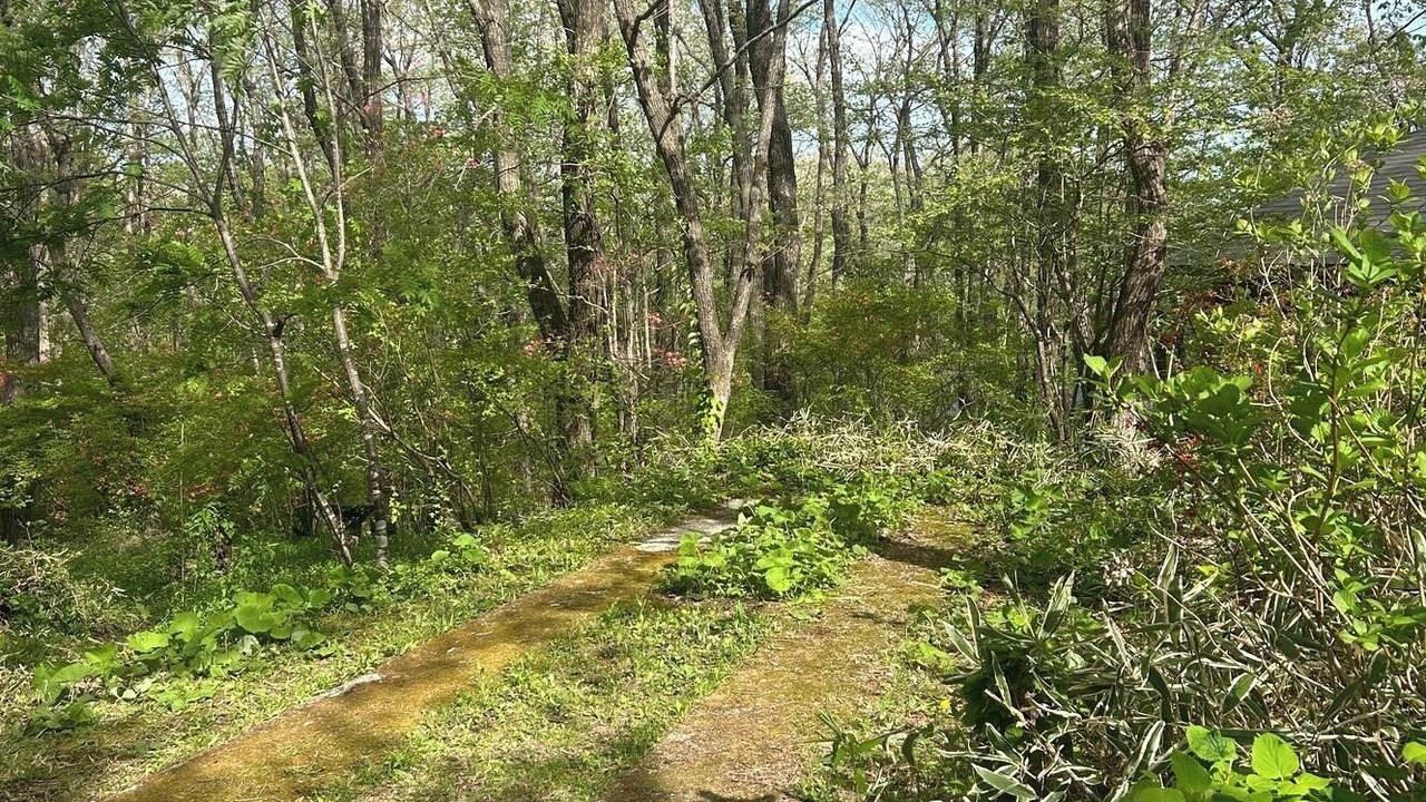 Photo of Outdoor in Nasu