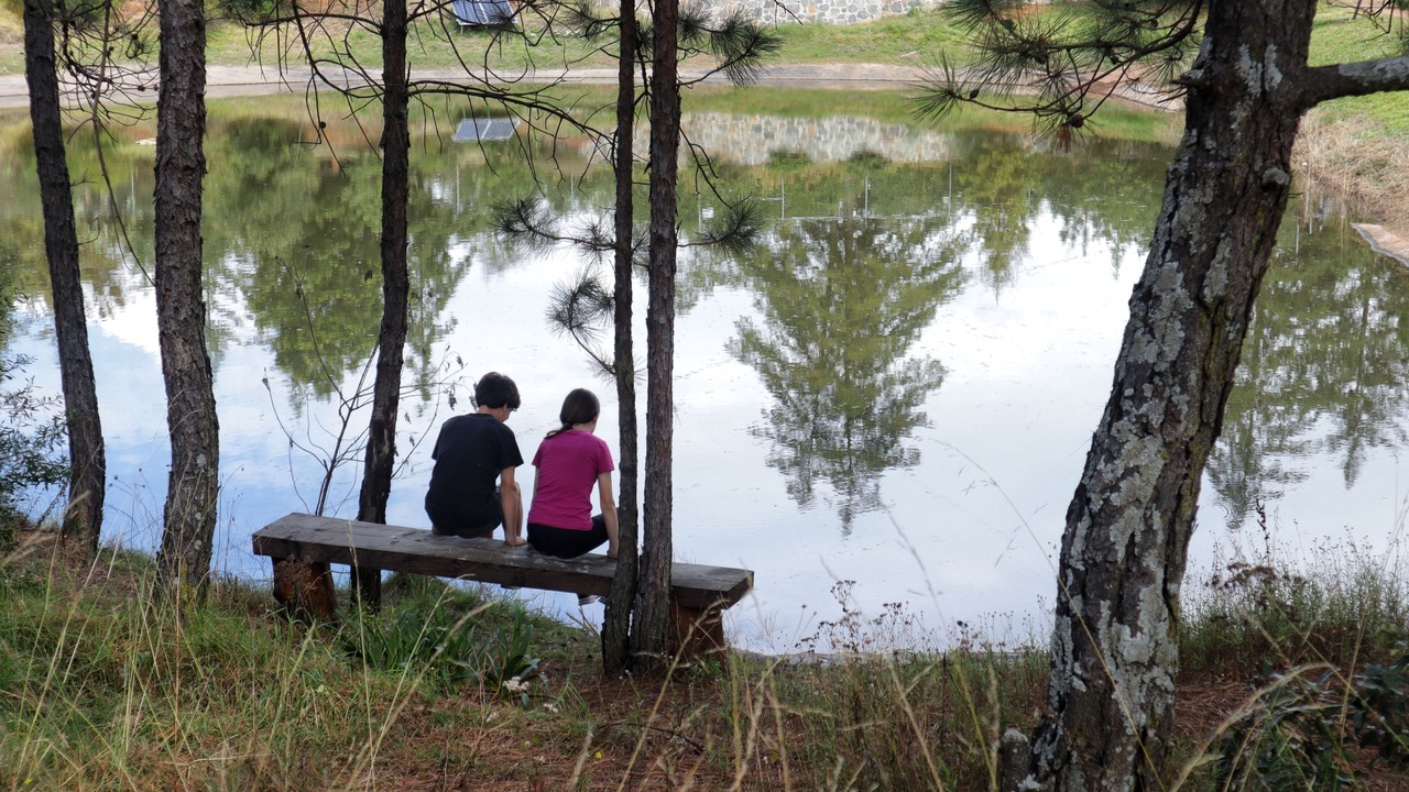 Photo of Others in Huasca De Ocampo
