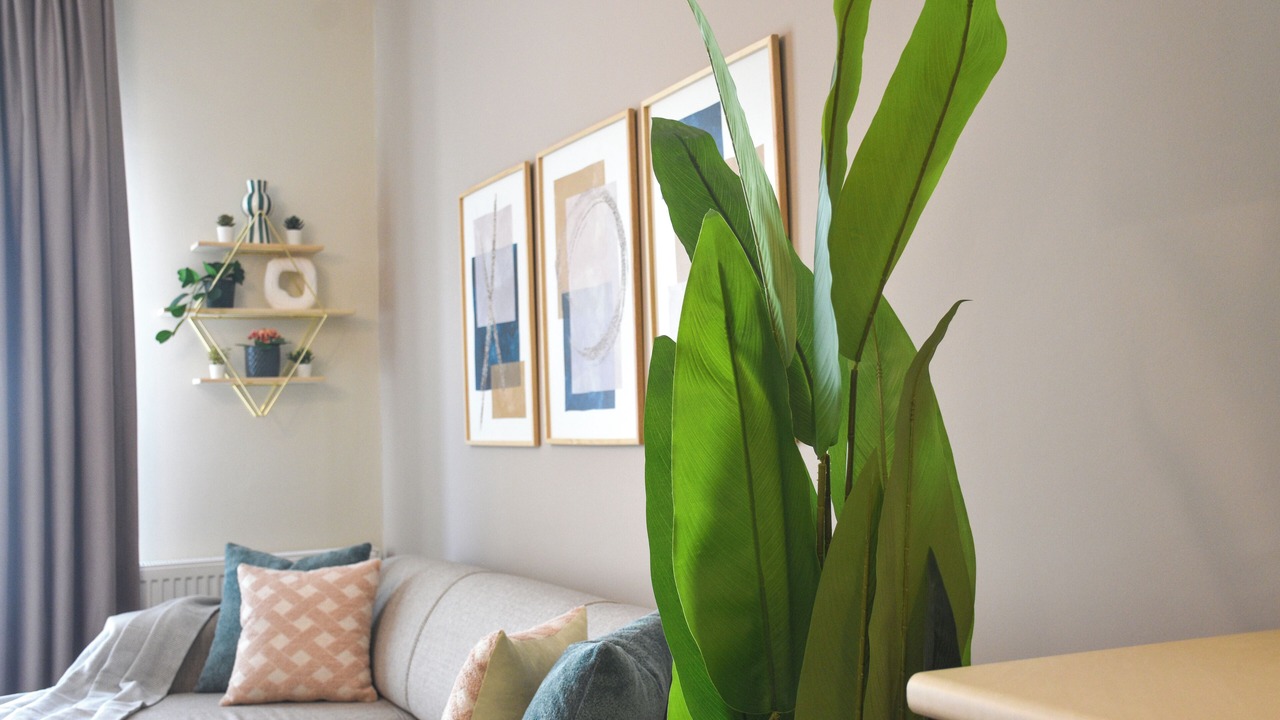 Photo of Livingroom in Mahmutbey