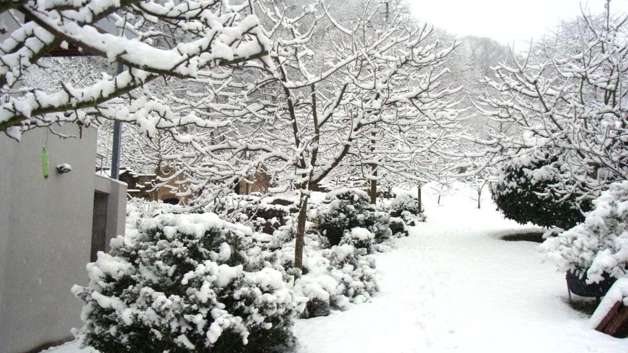 Photo of Outdoor in Oberotterbach