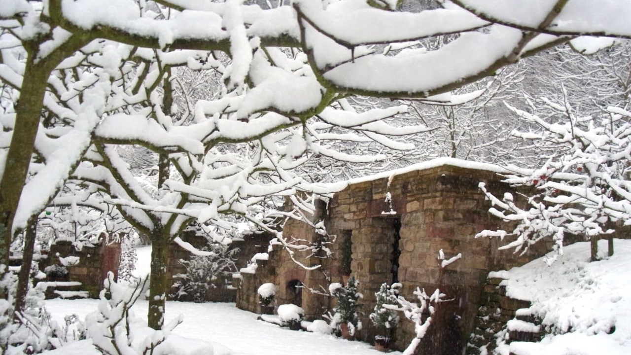 Photo of Outdoor in Oberotterbach