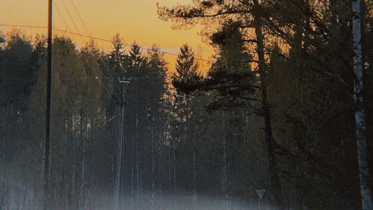 Photo of Others in Kesaelahti