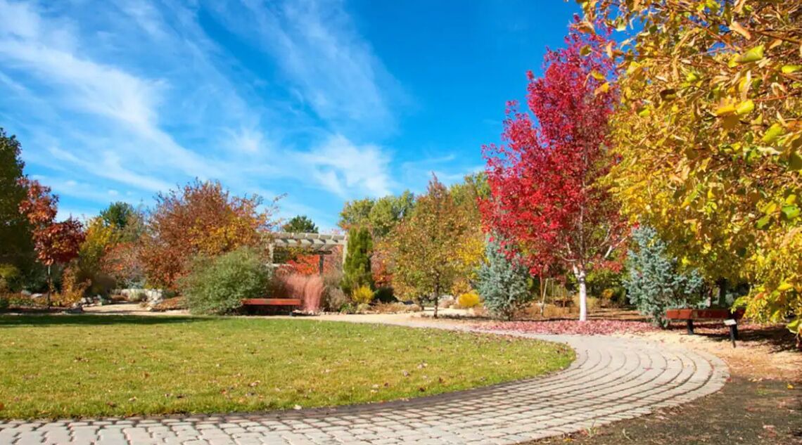 Photo of Others in West University