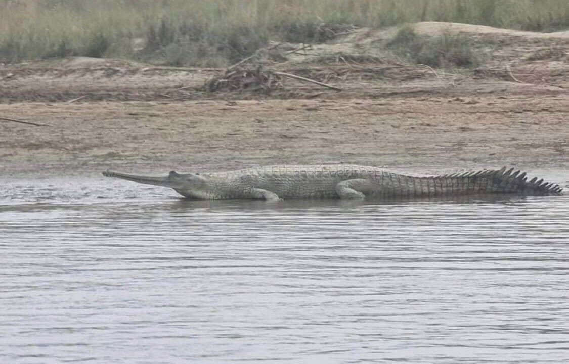 Photo of Others in Chitwan District