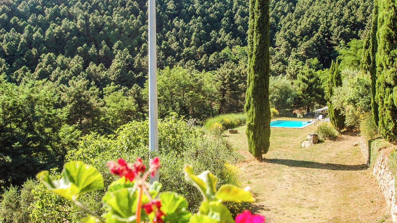 Photo of Outdoor in Buti