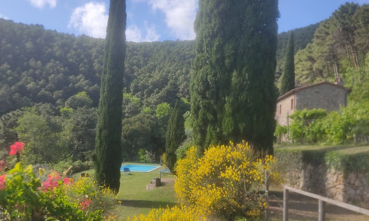 Photo of Outdoor in Buti