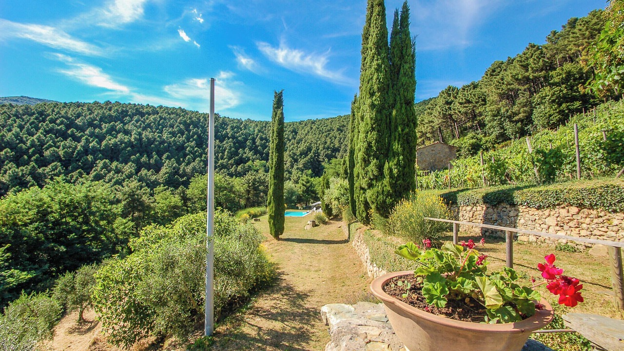 Photo of Outdoor in Buti