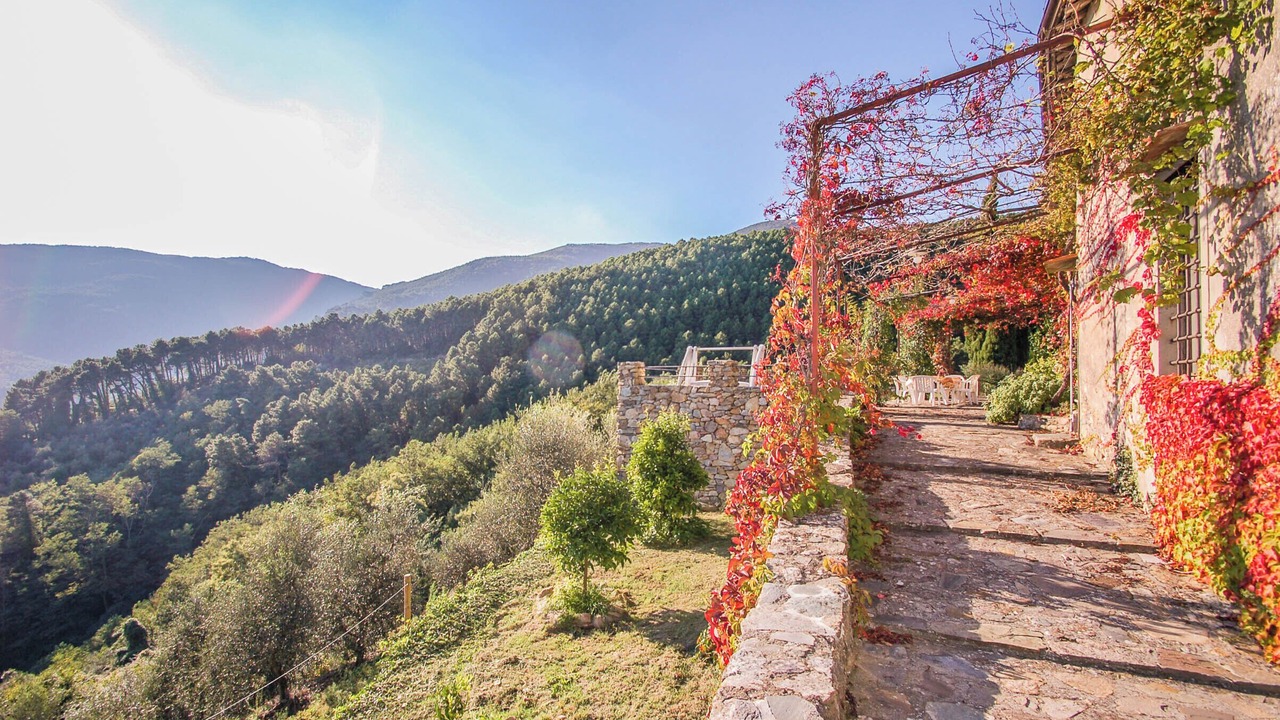 Photo of Outdoor in Buti