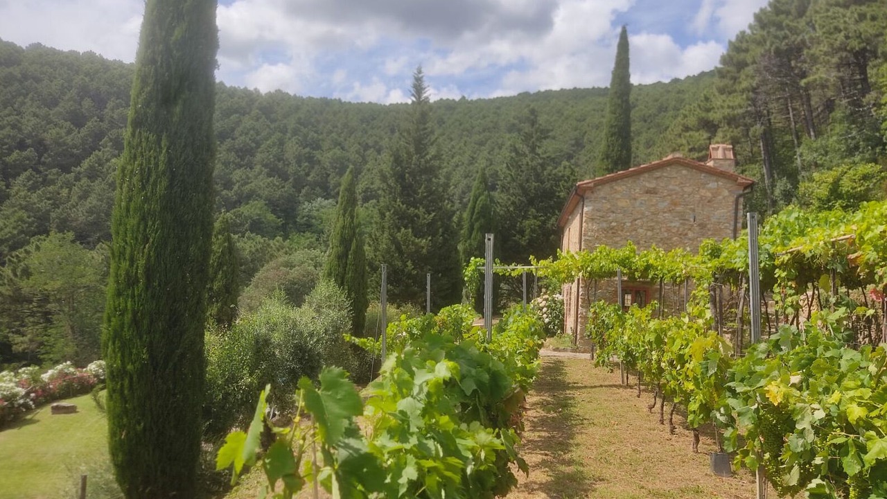 Photo of Outdoor in Buti