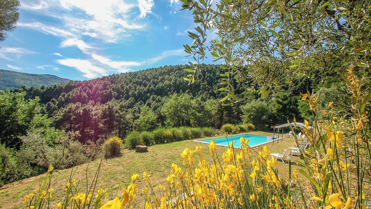 Photo of Outdoor in Buti