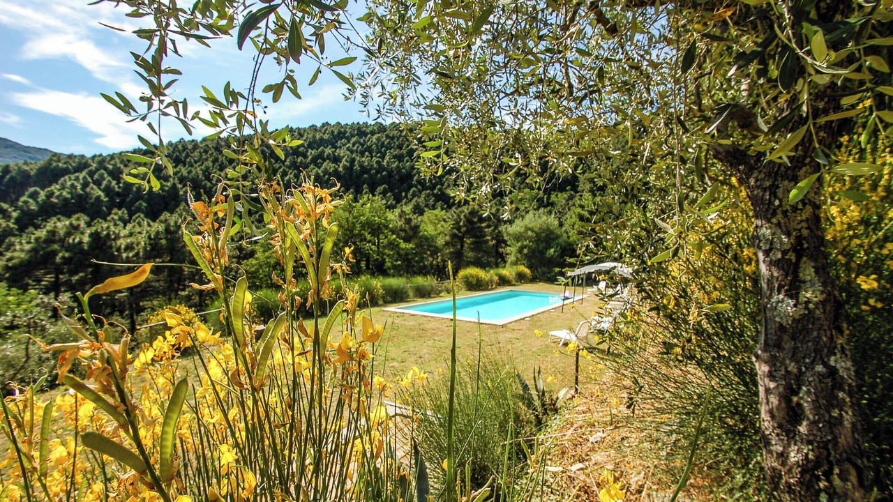 Photo of Outdoor in Buti