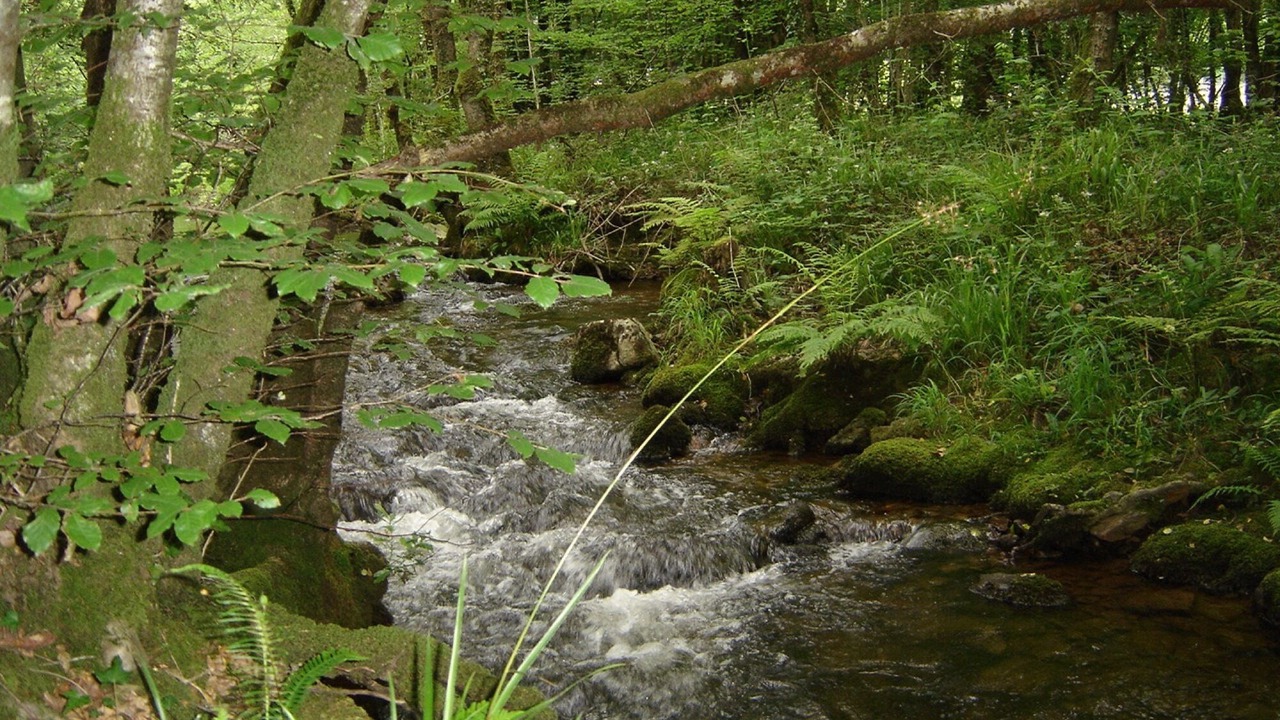 Photo of Others in Loperec