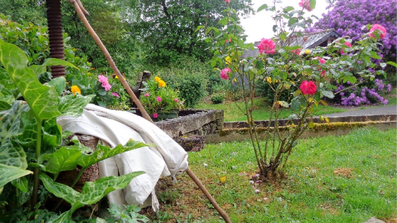Photo of Outdoor in Loperec