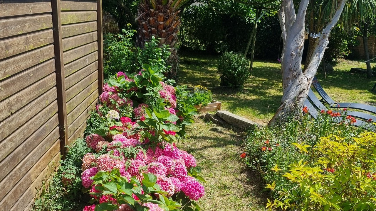 Photo of Outdoor in Plozevet