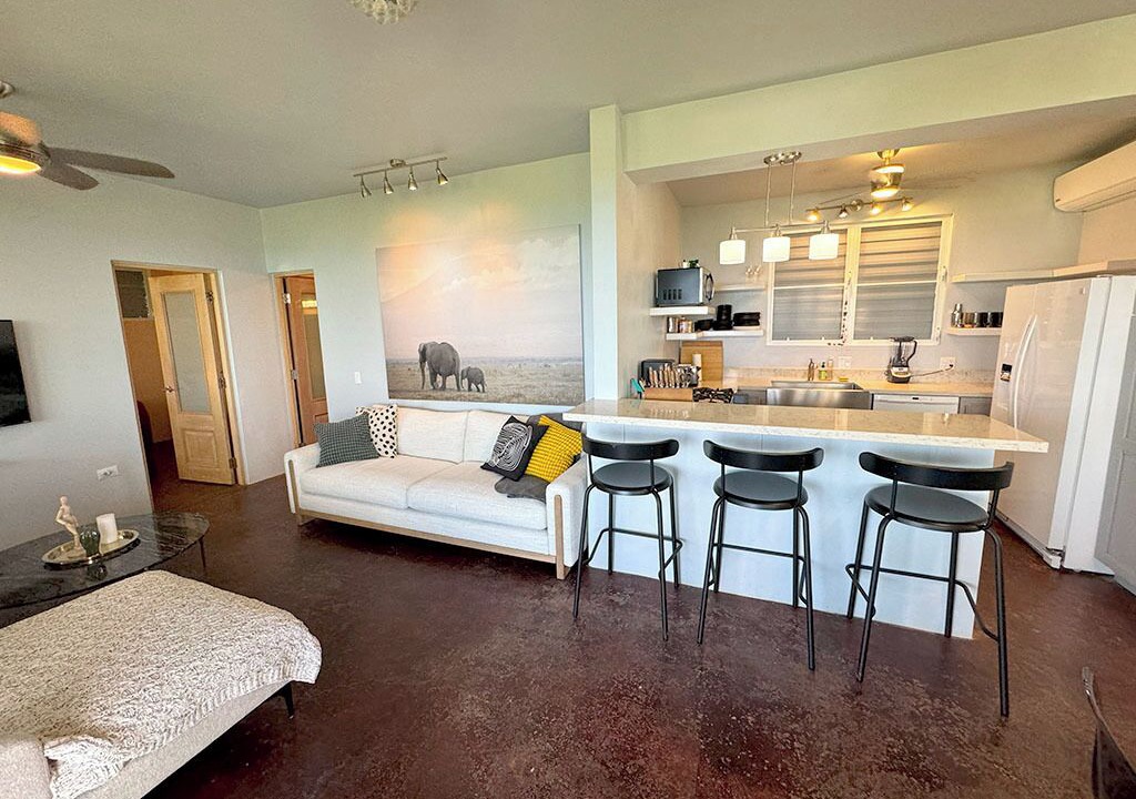 Photo of Livingroom in Villa Borinquen